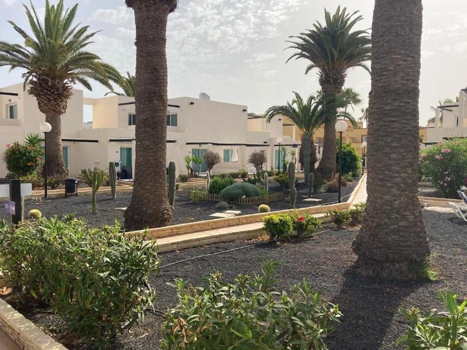 Corralejo Suite Pool & Gardens - Alisios Playa Dış mekan fotoğraf