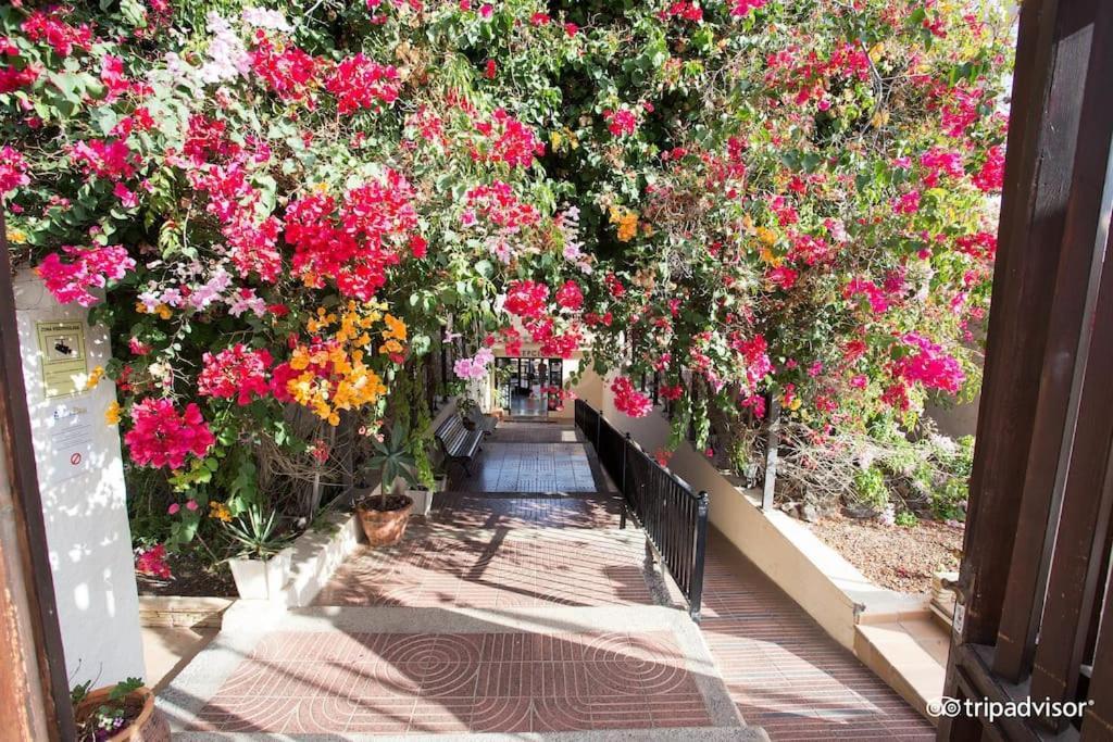 Corralejo Suite Pool & Gardens - Alisios Playa Dış mekan fotoğraf